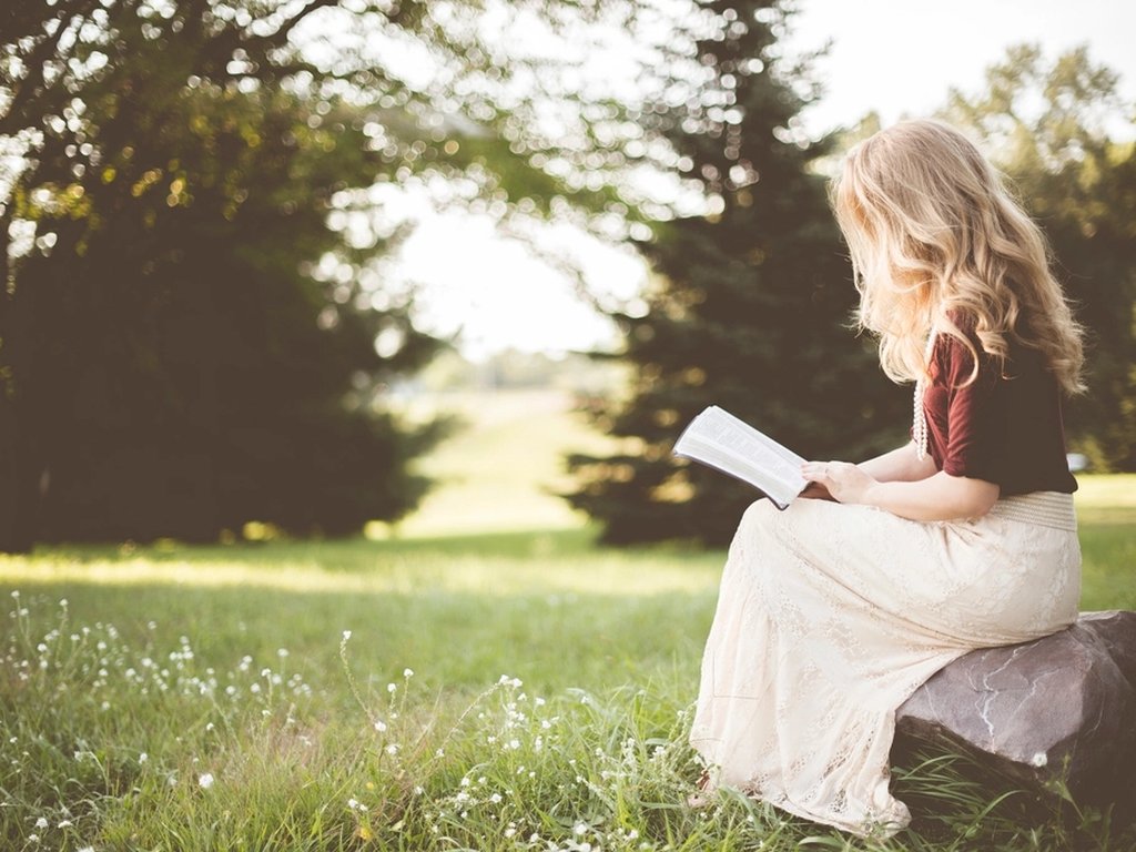 Someone reading a paperback outdoors, sitting on a rock in a sunny park.